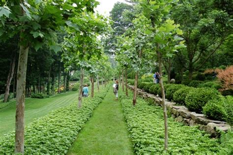 Growing south australian gardens for 150 years! Juniper Hill: New Hampshire-Vermont Garden Conservancy ...