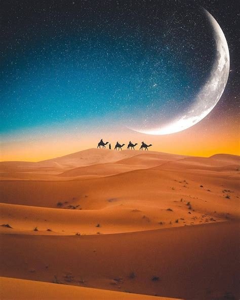 Sahara Camel Night Wallpapers Wallpaper Cave