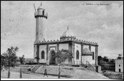 Saida (arabisch سعيدة, dmg saʿīda, tamazight ⵙⵄⵉⴷⴰ sɛida) ist eine stadt in der gleichnamigen provinz im westlichen algerien mit (schätzung 2006) 130.000 einwohnern. SAIDA..........UNE VILLE HISTORIQUE - AMEL SAIDA