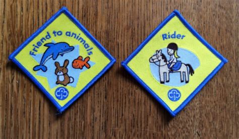 Girlguiding Friend To Animals And Rider Brownie Interest Badges 2003