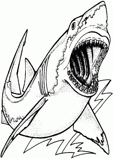 Printable Shark Coloring Page Printable Word Searches