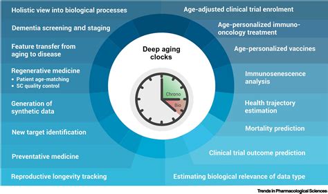 Role Of Big Clocks In Sex Telegraph