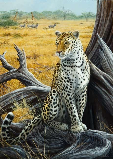 Jp101 Watcher Leopard Jeremy Paul Wildlife Artist