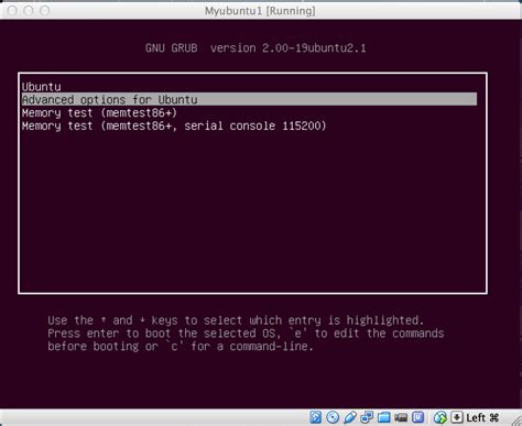 Techvolve How To Edit Boot Options During Linux Booting