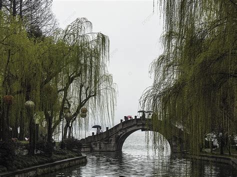 Qingming Festival Bridge Drizzle Willow Photography Background