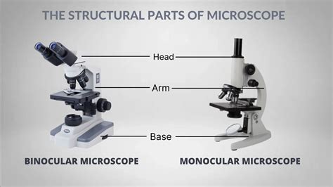 Parts Of A Microscope And Their Function