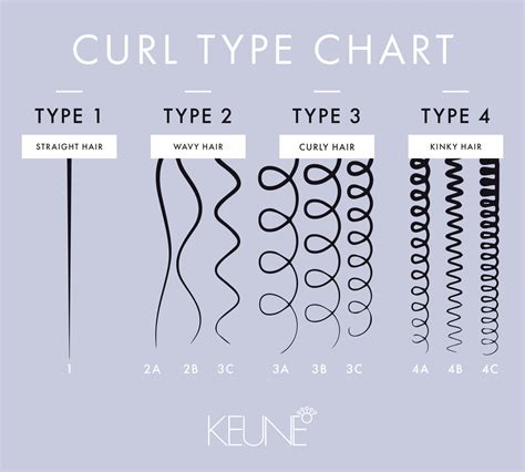 Curl Patterns 101 Whats Your Curl Type Keune Educationkeune Education