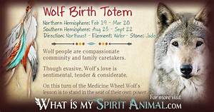 Native American Zodiac Wolf What Is My Spirit Animal