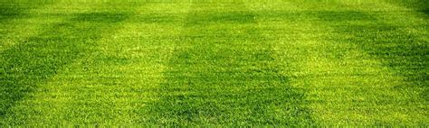 7 Simple Mowing Tips You Need To Know Sears