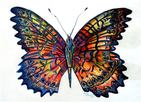 Butterfly By Mindy Newman