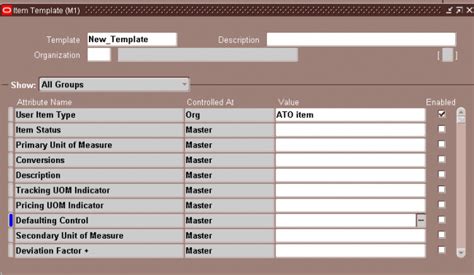 Item Templates Oracle Erp Apps Guide