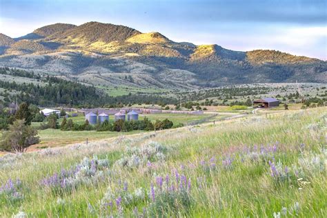 949 s heights billings, mt 59105. Lippert Gulch Ranch in 2020 | Land in montana, Ranches for ...