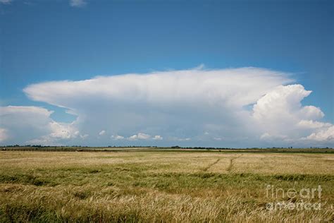 Cumulus Congestus Cloud Photograph By Kamen Ruskov