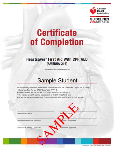 American Heart Association First Aidcpraed Certificate Kui Adventures