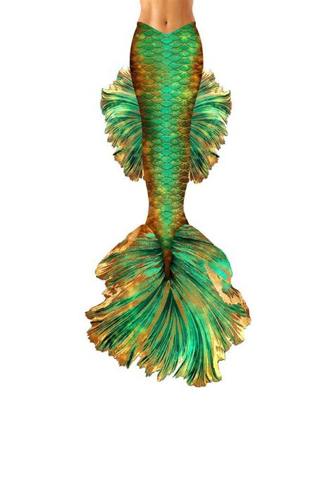 Goldilicious Betta Fish Mermaid Tail Betta Fish Betta Mermaid Tails
