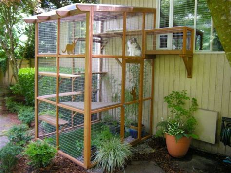 Its Easy To Build A Diy Catio For Your Cat Catio Spaces