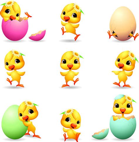 Best Easter Chick Illustrations Royalty Free Vector Graphics And Clip