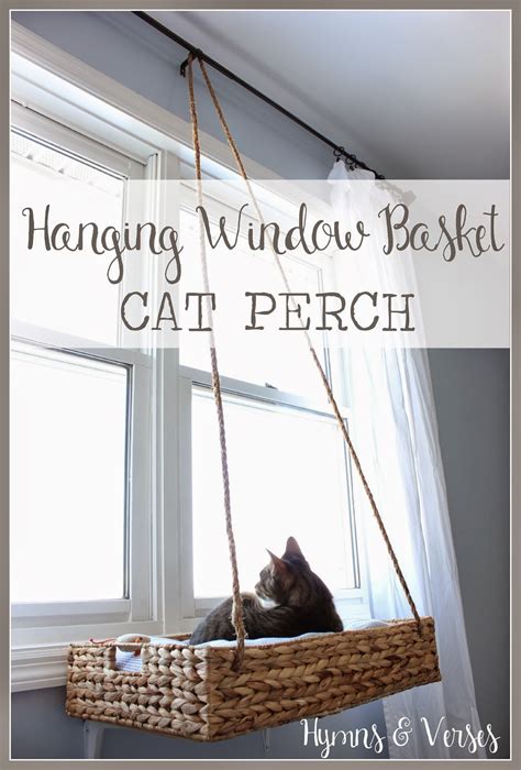 Diy cat trees, homemade towers, cat condos, and other play structures are easy to make, even if you don't have a lot of building experience. Hymns and Verses: DIY Hanging Window Basket Cat Perch