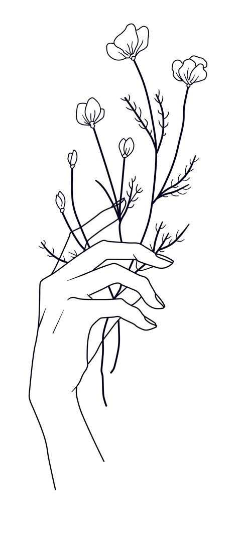 Minimalist Line Art Woman With Flowers Flower Line Art Transparent