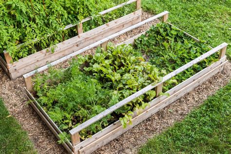 Potager dans le jardin : tous nos conseils pour bien l'organiser