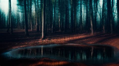 Hintergrundbilder 2048x1152 Px Blau Dunkel Wald Frost Landschaft