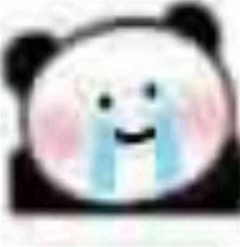 Chinese Panda Memes Biaoqing Panda Head Chinese Panda Reaction