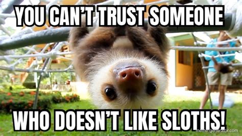 You Cant Trust Someone Who Doesnt Like Sloths Meme Generator