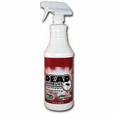 Bed Bug Spray At Target Images