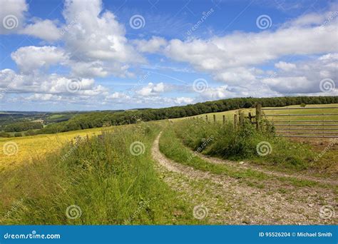 Scenic Farm Track Stock Photo Image Of Green Landscape 95526204