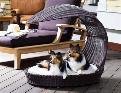 Outdoor Dog Chaise Lounger From The Refined Canine Gadget Flow