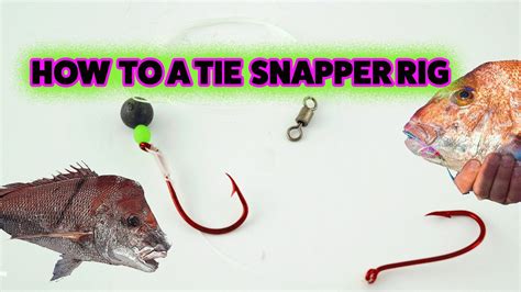 Snapper Rig How To Tie Your Fishing Rigs Step By Step Snapper Fishing