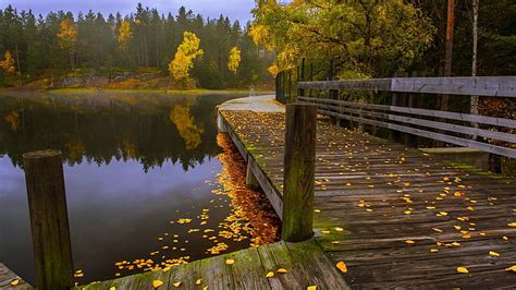 Beautiful Scenery Wood Dock Yellow Green Autumn Leaves Trees Forest