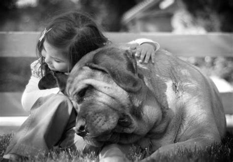 21 Touching Photos Of Relationship Between Dogs And Humans