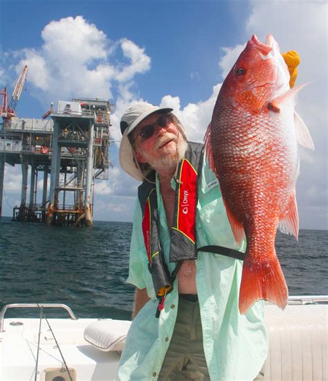 They are excellent food fish. Three-day red snapper season doesn't add up for Texas ...