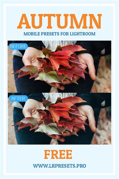 Instantly download from our massive collection of free lightroom presets, photoshop actions & more! Autumn Presets Lightroom FREE in 2020 | Lightroom presets ...