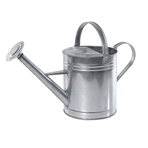 Best Watering Can Stock Photos Pictures And Royalty Free Images Istock