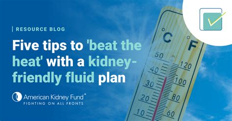 Five Tips To ‘beat The Heat While Maintaining Your Kidney Friendly