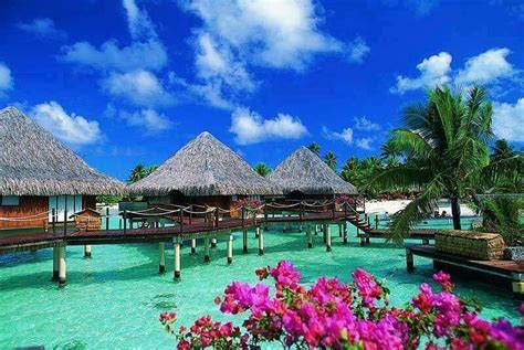 Bora Bora Dream Vacations Destinations Dream Vacations Vacation Spots
