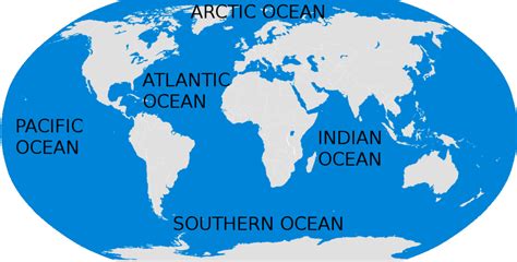 Scuba Quiz Do You Know Every Ocean Dive Oclock