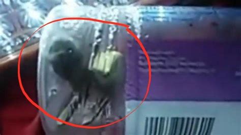Video Viral Tuyul Ditangkap Warga Dan Dimasukan Dalam Botol