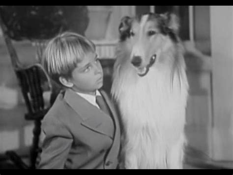 Lassie Inheritance Tv Episode 1954 Imdb