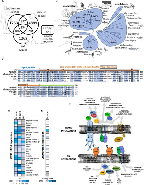 I <p>when browsing through different uniprot proteins, you. Proteine Atlas Rat - Fantom Fantom5 : Netters atlas of human anatomy 6th edition. ~ Trinavl-images