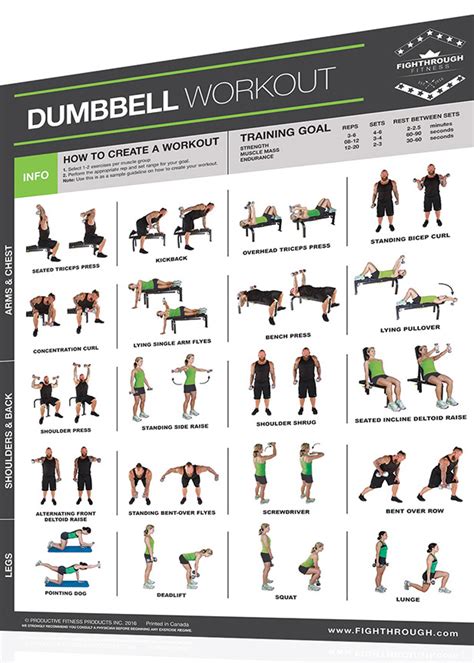 Fightthrough Fitness 18 X 24 Laminated Workout Poster Dumbbell