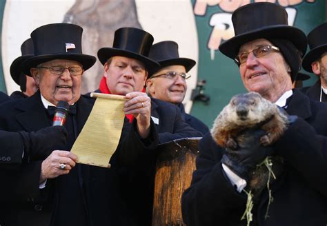 How to trap a groundhog using live trapis a groundhog wreaking havoc in your garden. Groundhog Day 2016: What Is Punxsutawney Phil's Accuracy ...