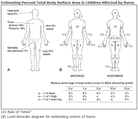 0204 Burn Injuries Burn Injury Burns Treatment