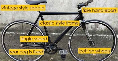 Fixie Bike Size Chart Fixed Gear Bicycle Sizing Guide