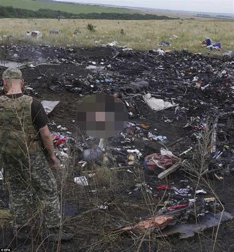Expert Describes Effect Of Missile Hit On Mh17 Daily Mail Online