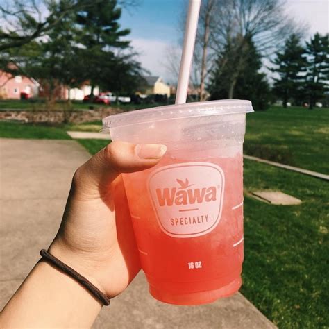 Wawa — Nothing Like Lemonade On A Sunny Day Photo