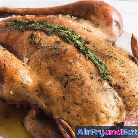 Air Fryer Duck Easy Recipe Very Tasty Airfryandeat