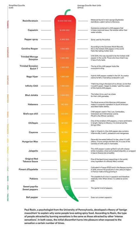 Visual Easy Guide To The Scoville Heat Scale Infographic Tv